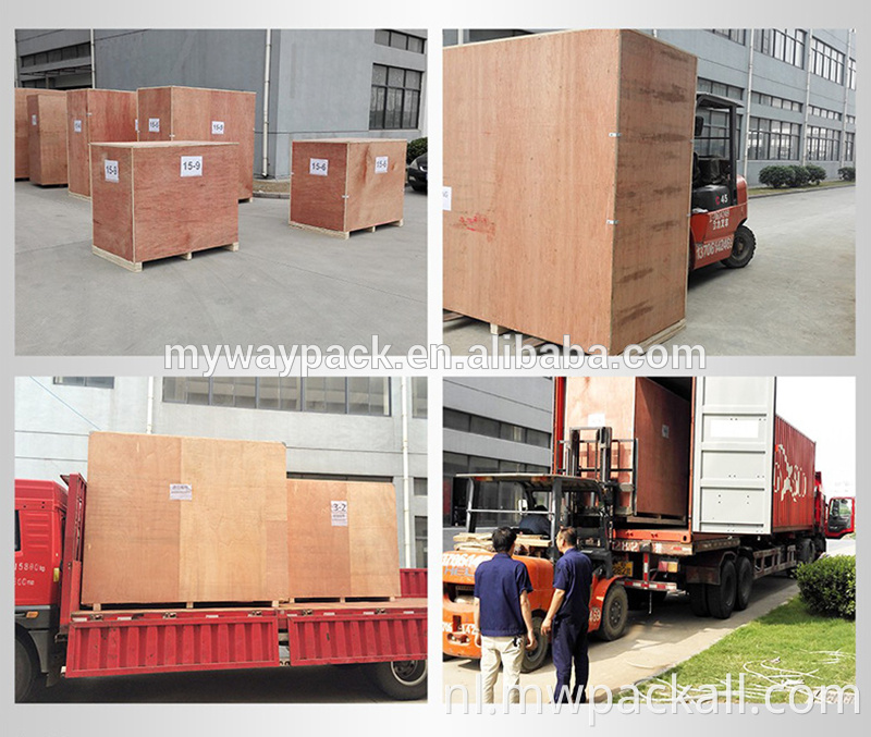 Hot Sale Factory Direct automatische sapvulling- en afdichtingsmachine Machines Liquid 6 Head